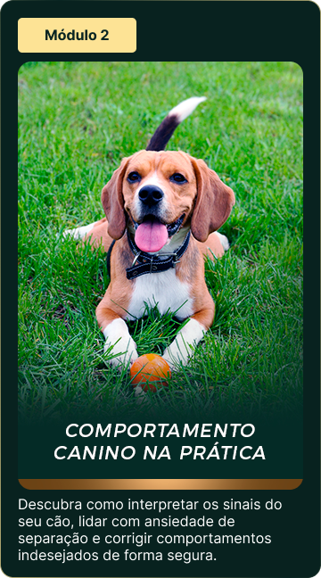 2 3 1.webp