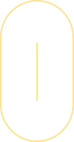 seta.webp