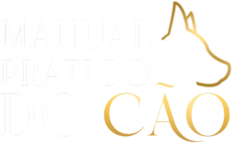 titulo 1.png